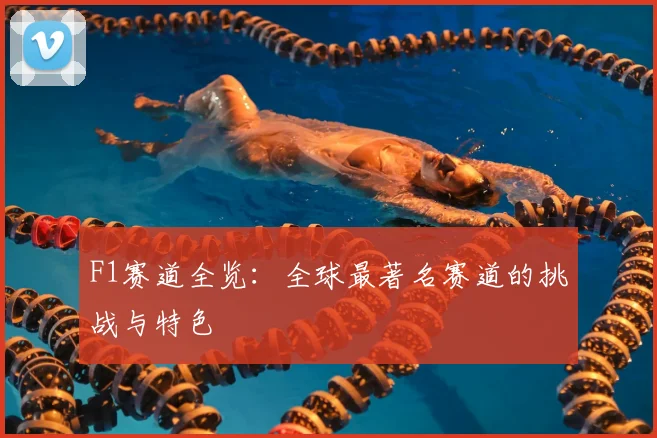 F1赛道全览：全球最著名赛道的挑战与特色