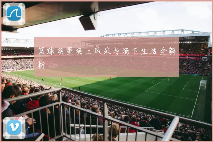 篮球明星场上风采与场下生活全解析