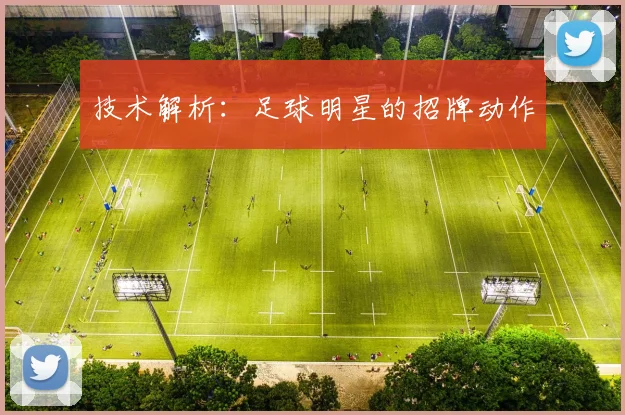 技术解析：足球明星的招牌动作