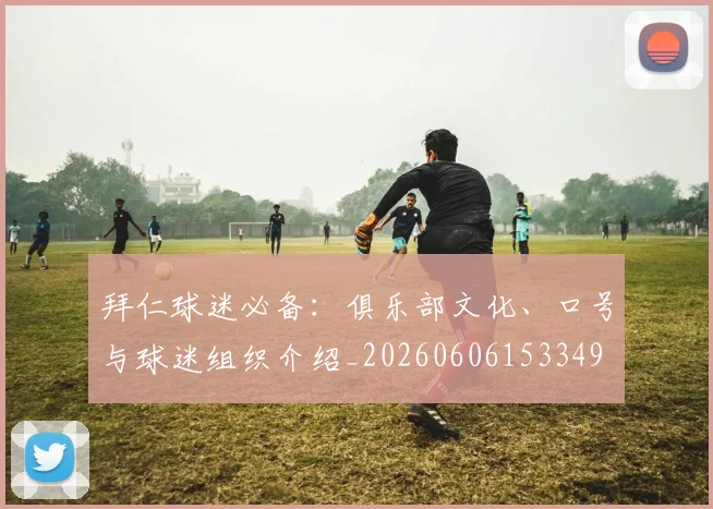 拜仁球迷必备：俱乐部文化、口号与球迷组织介绍_20260606153349