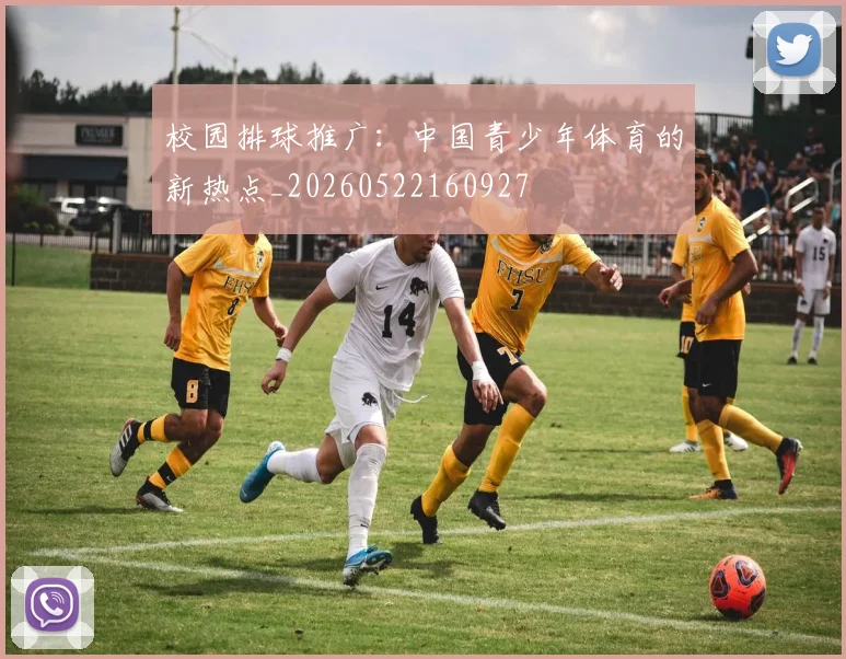 校园排球推广：中国青少年体育的新热点_20260522160927